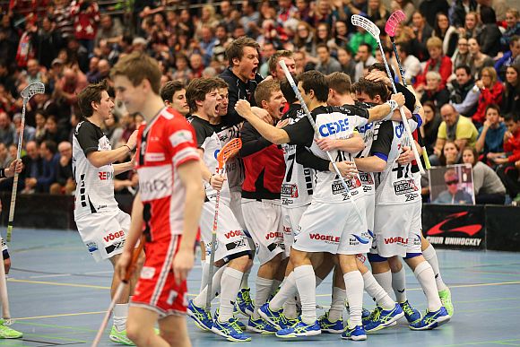 Cup-Halbfinal_20150111