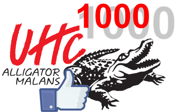 1000-Facebook-Likers